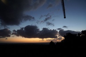 Dawn above the rainforest canopy (photo: MN)