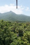 Sampling from the rainforest canopy, at the Daintree Rainforest Observatory (photo: MN)
