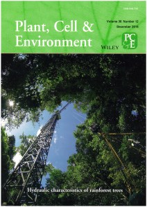 Hydraulic characteristics of rainforest trees. Journal Cover of Plant, Cell and Environment 38, Dec. 2015