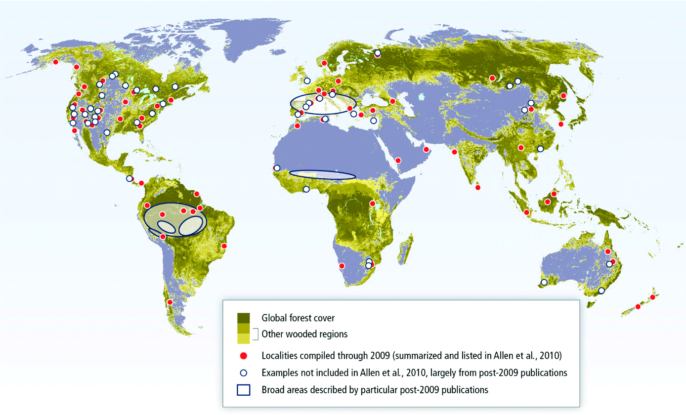 New paper in PNAS: hydraulic traits explain patterns of drought induced ...