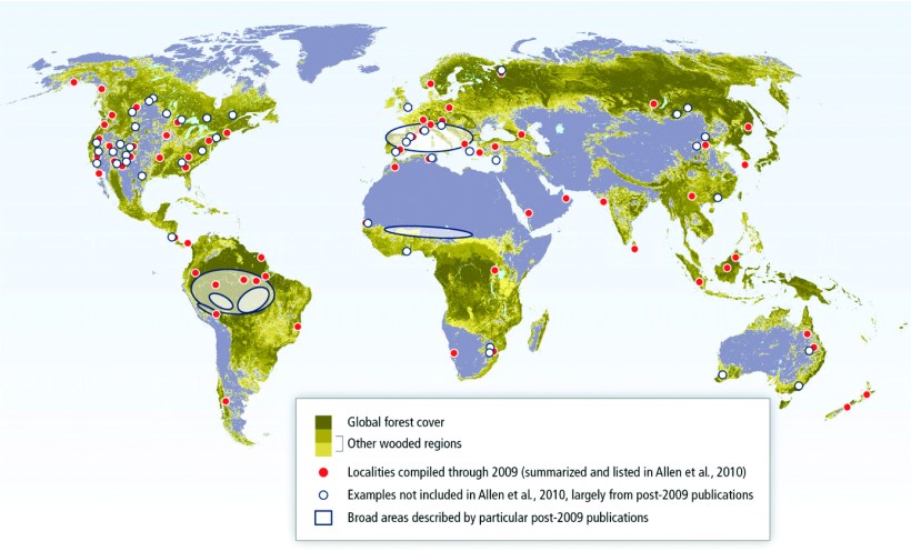Drought- and heat-induced regional tree mortality events around the world.