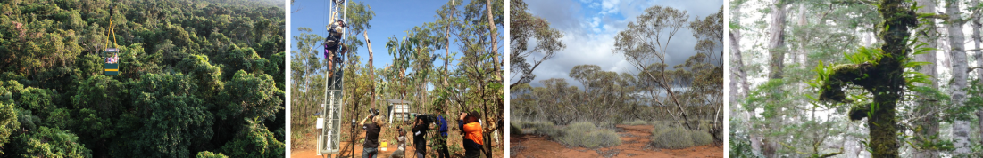 Screen Shot 2021-04-21 at 10.37.38 am