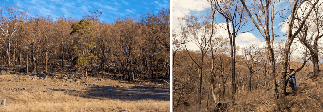 Screen Shot 2021-04-21 at 10.47.37 am