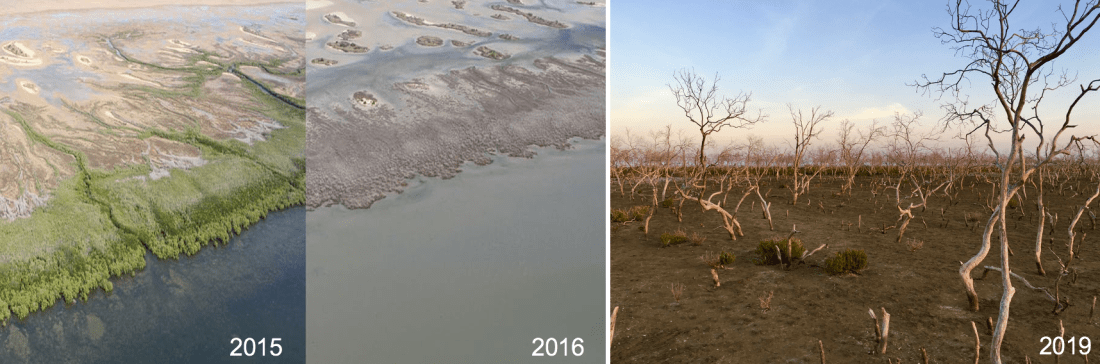 Screen Shot 2021-04-21 at 11.02.13 am