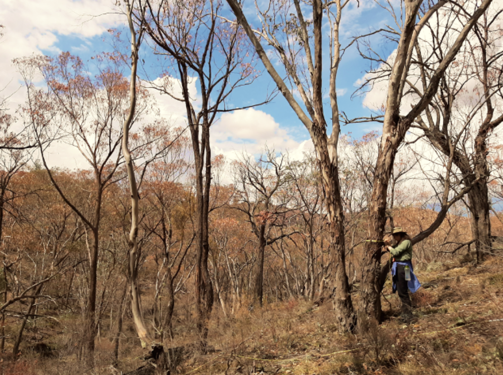 Screen Shot 2021-04-21 at 11.06.05 am